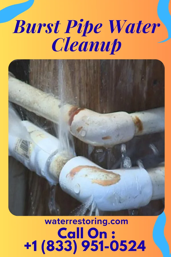 Burst Pipe Water Cleanup in Paulding, OH