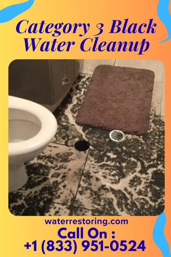 Category 3 Black Water Cleanup in Paulding, OH
