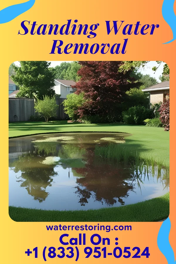 Standing Water Removal in Paulding, OH